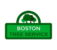 General Contractors Near Me Boston Tree Service in Boston MA